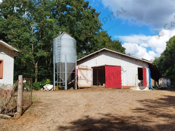 Propriedade Rural - Venda