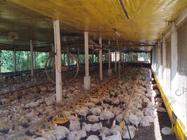 Propriedade Rural - Venda