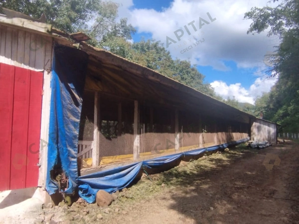 Propriedade Rural - Venda