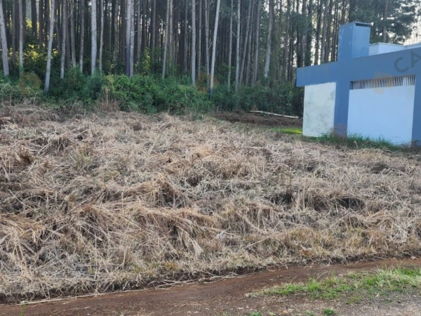 Terrenos - Venda