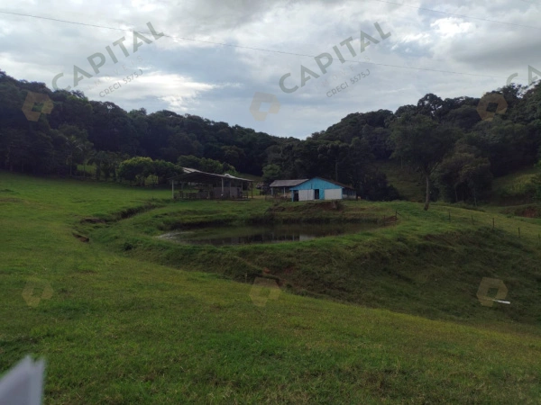 Propriedade Rural - Venda