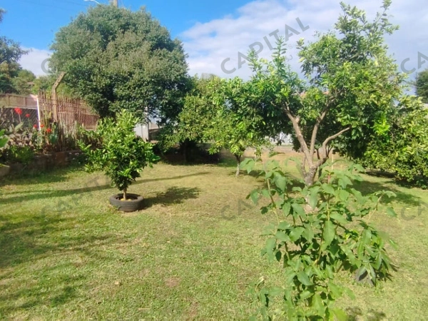 Casas - Venda