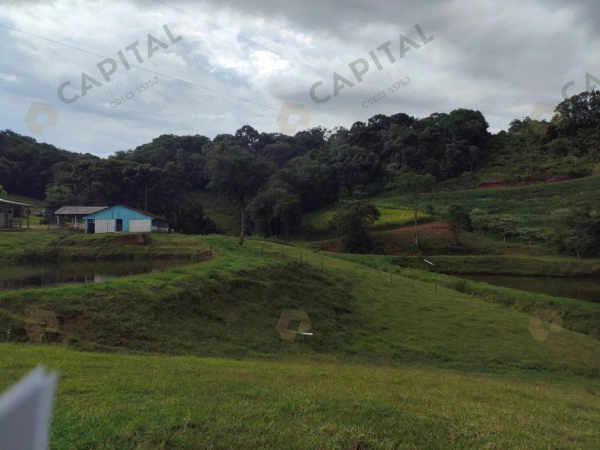 Propriedade Rural - Venda