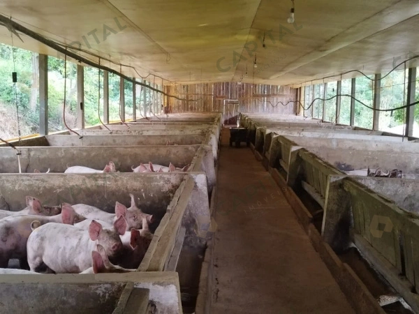 Propriedade Rural - Venda