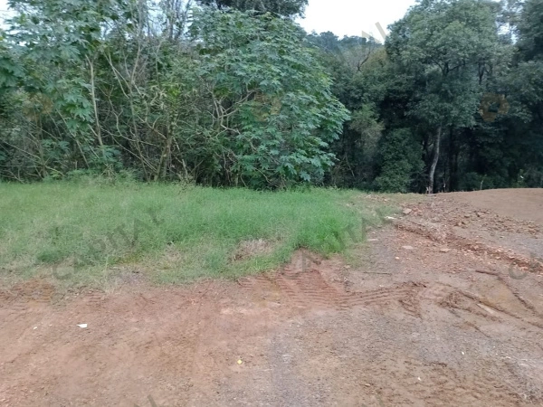 Terrenos - Venda