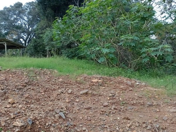 Terrenos - Venda