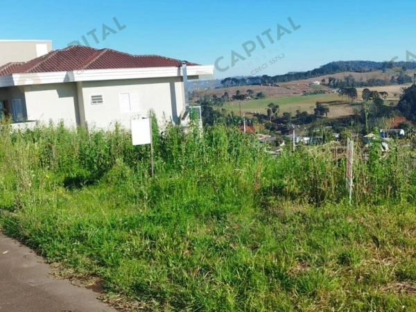 Terrenos - Venda