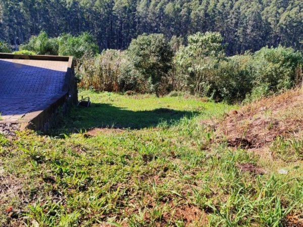 Terrenos - Venda