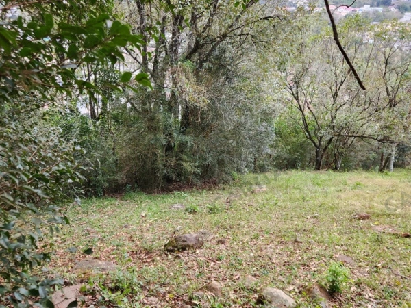 Terrenos - Venda