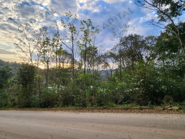 Terrenos - Venda