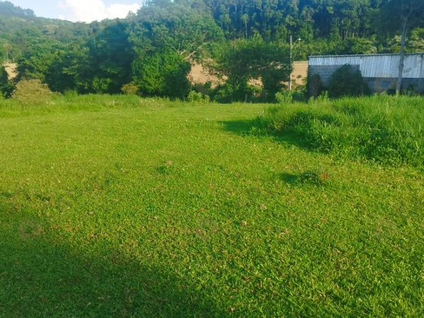 Terrenos - Venda