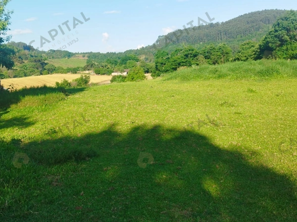 Terrenos - Venda