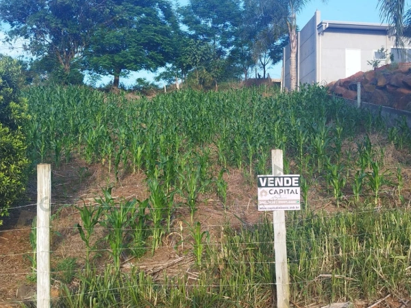Terrenos - Venda