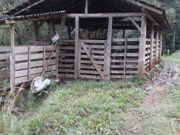 Propriedade Rural - Venda