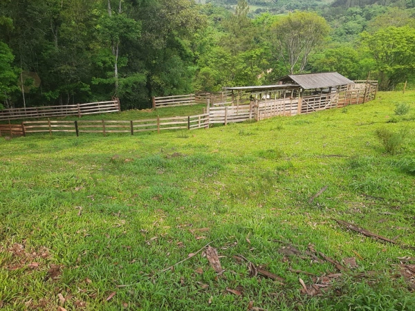 Propriedade Rural - Venda