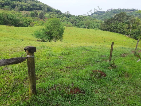 Propriedade Rural - Venda