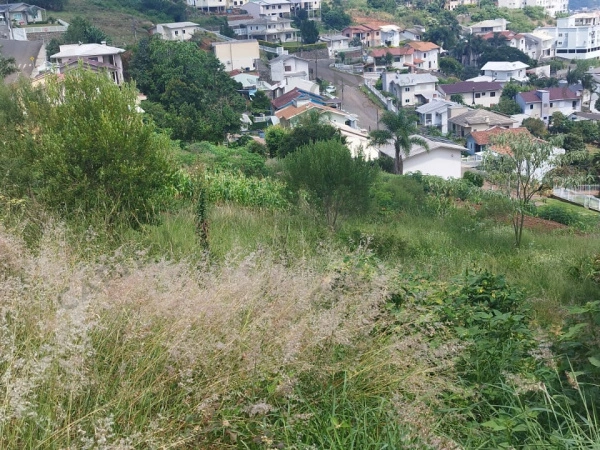 Terrenos - Venda